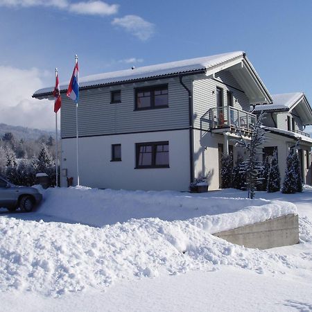 Apartments Waldemar Saalfelden Εξωτερικό φωτογραφία